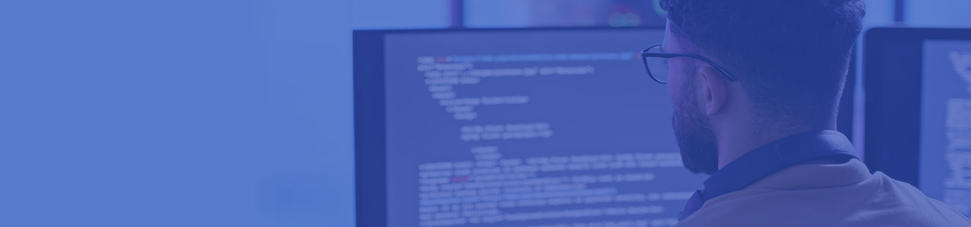 wordpress development and design