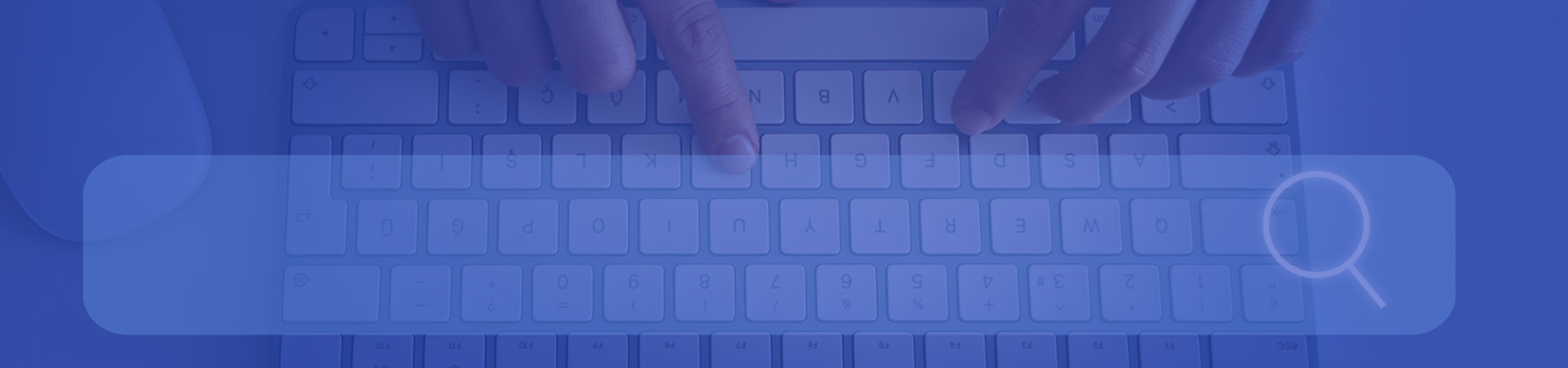 search engine optimization
