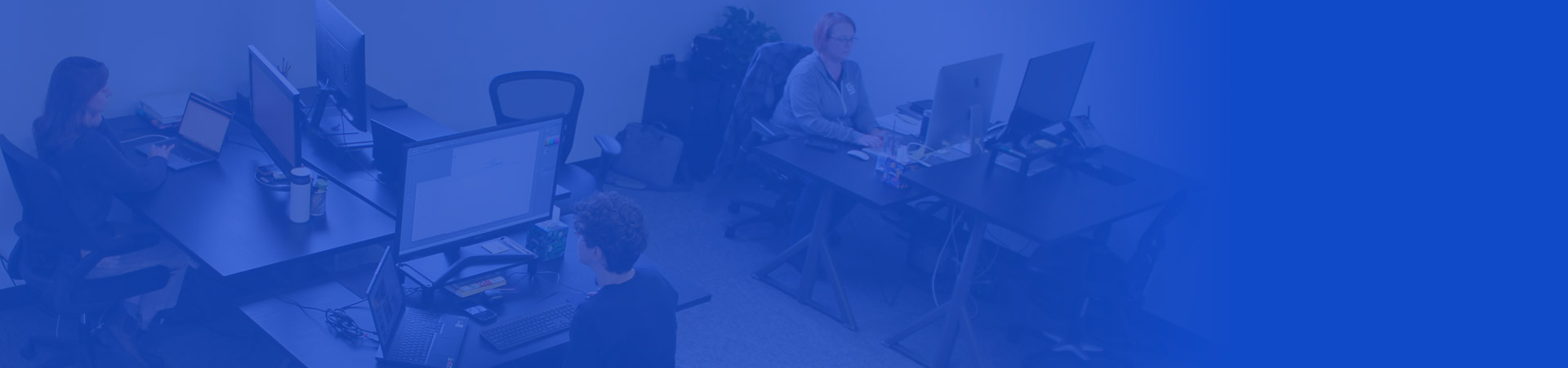 Web design and development